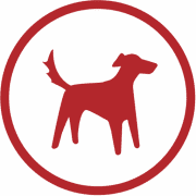 Redtail Technology Cover